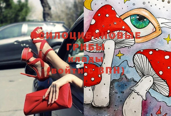 мет Арсеньев