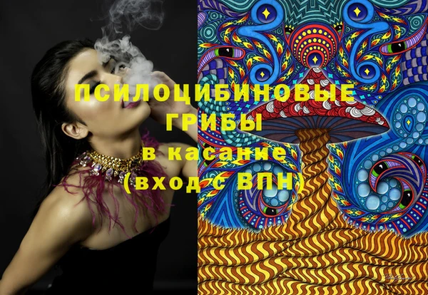 мет Арсеньев