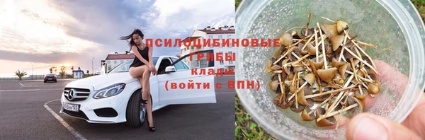 ECSTASY Приозерск